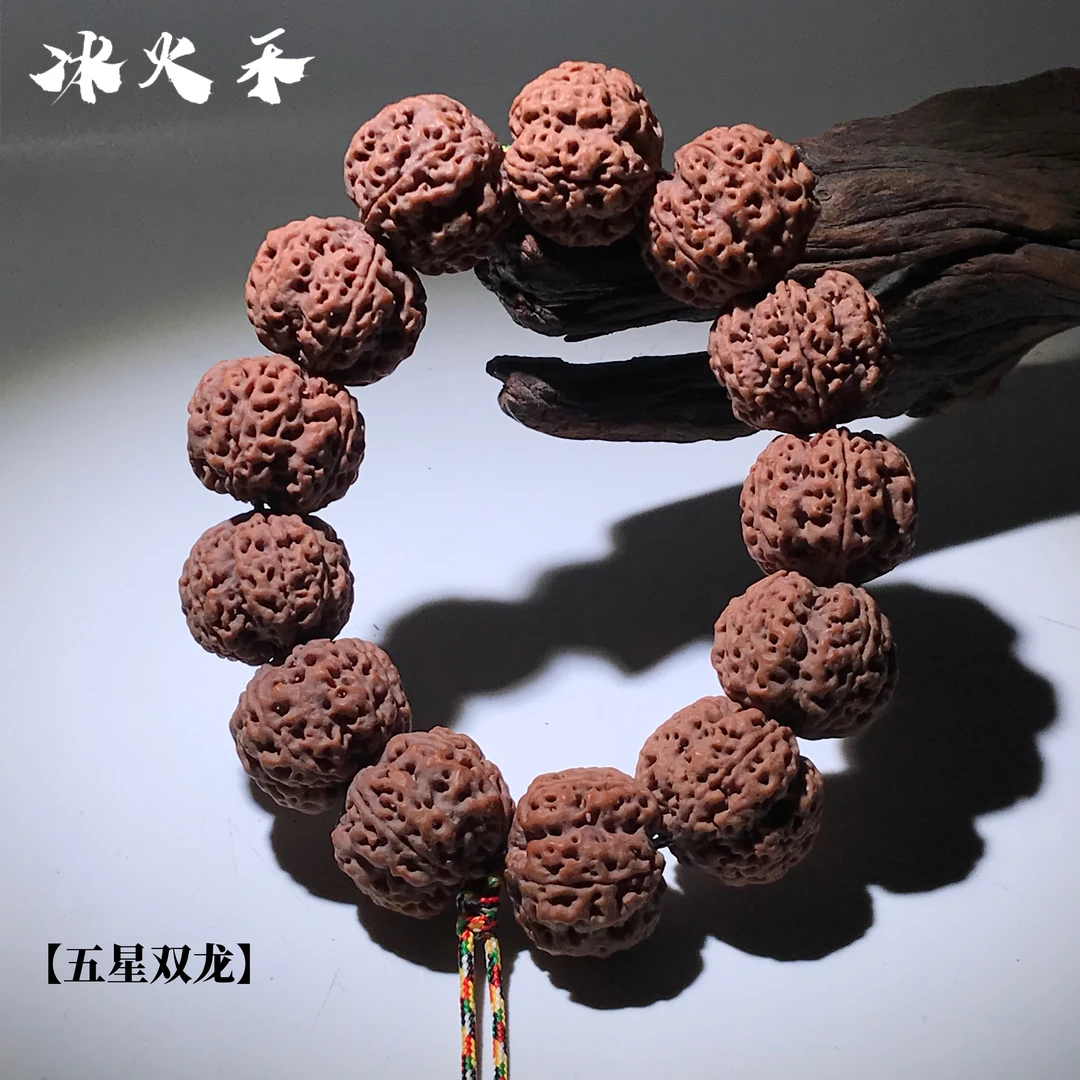 【五星双龙矮桩蜂王】尼泊尔大金刚菩提子手串