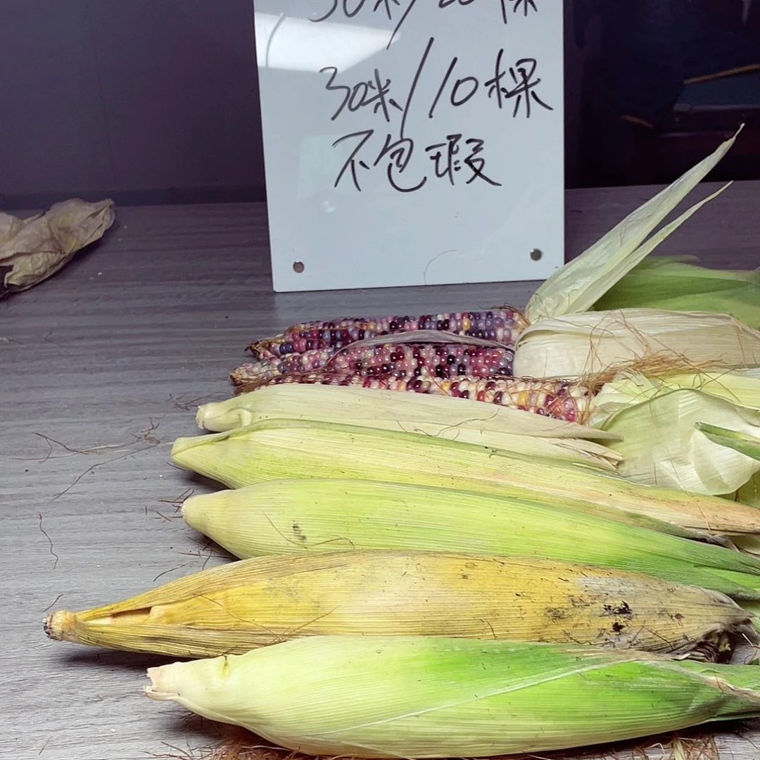 塑料链接评论转发本条