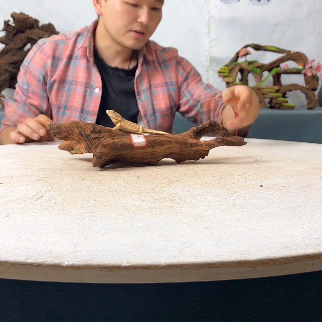 沉木造景爬宠造景