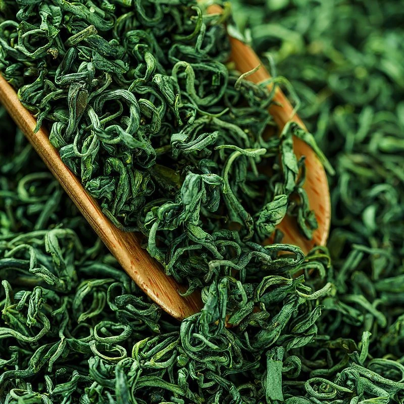 恩施本地1斤特级茶叶2025年新茶春茶季