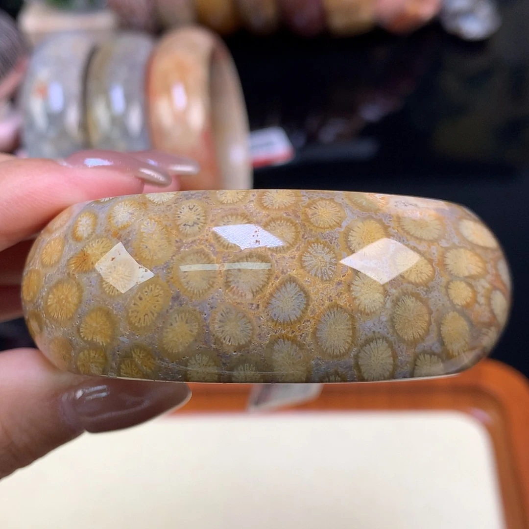 【闪购商品】颈饰未镶嵌硅化珊瑚（珊瑚玉）3号上新54.4