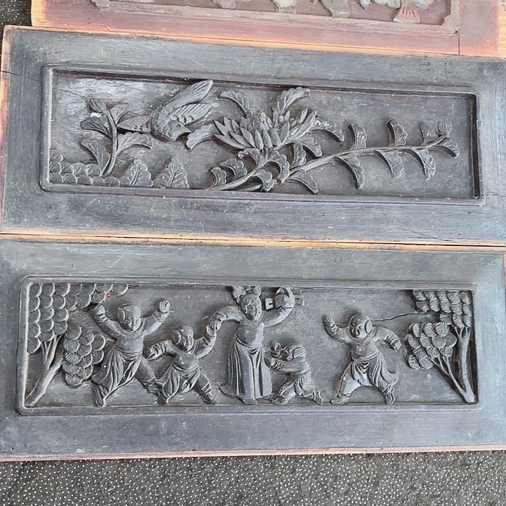 木贝*11111111111211