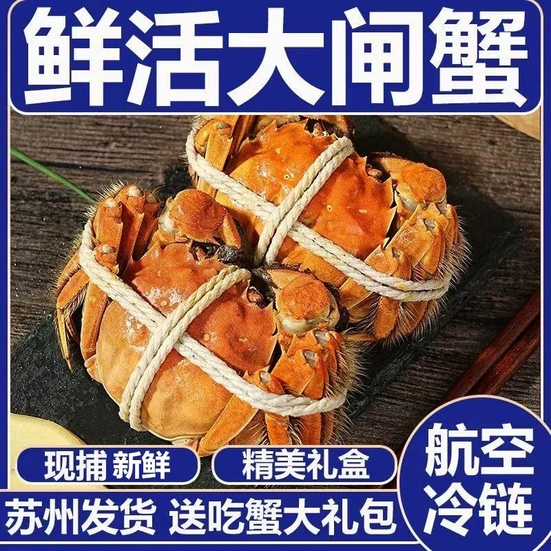 【活蟹】江苏精品鲜活大闸蟹公4.1-3.9母3.1-2.9两买8只送2只包邮