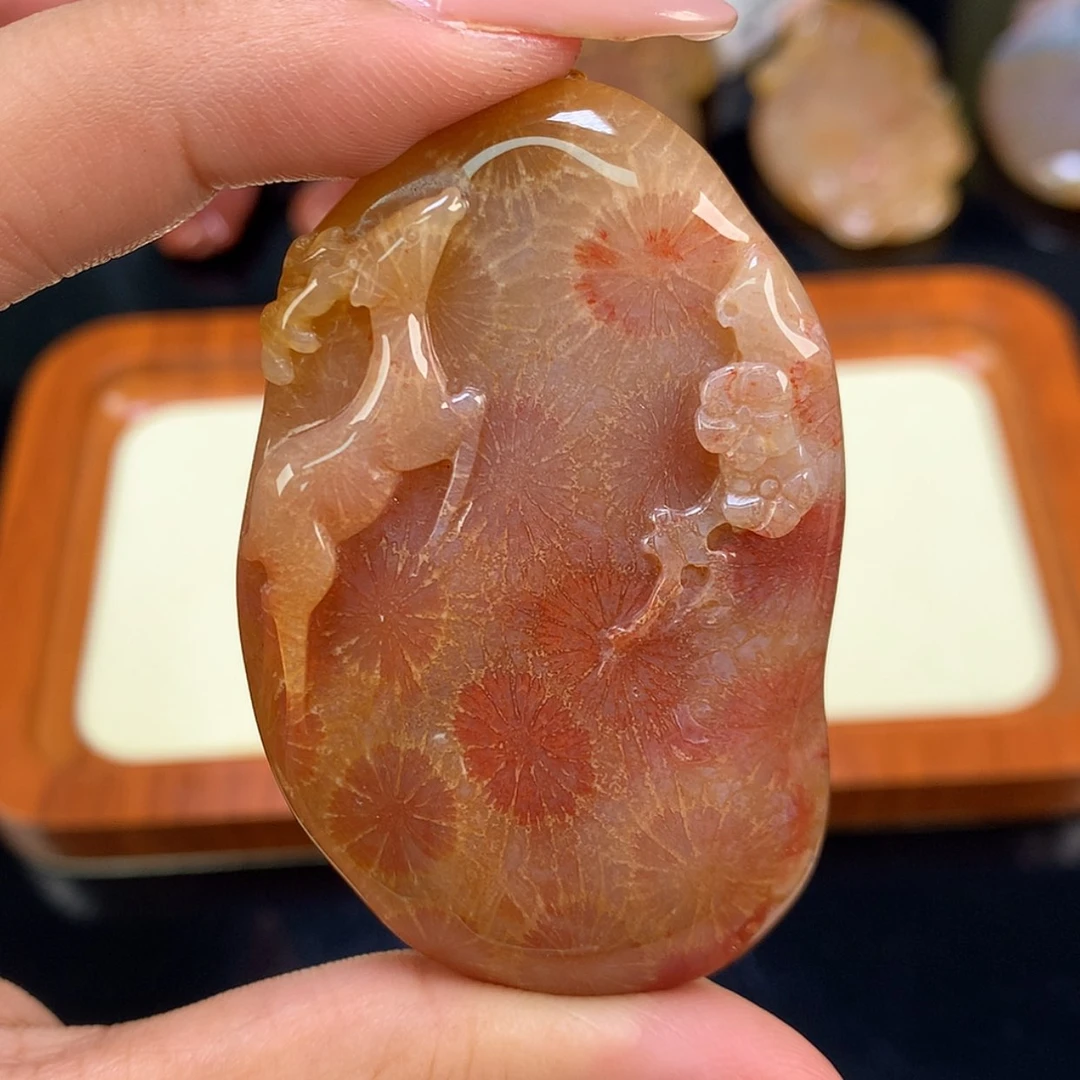 【闪购商品】颈饰未镶嵌硅化珊瑚（珊瑚玉）12号