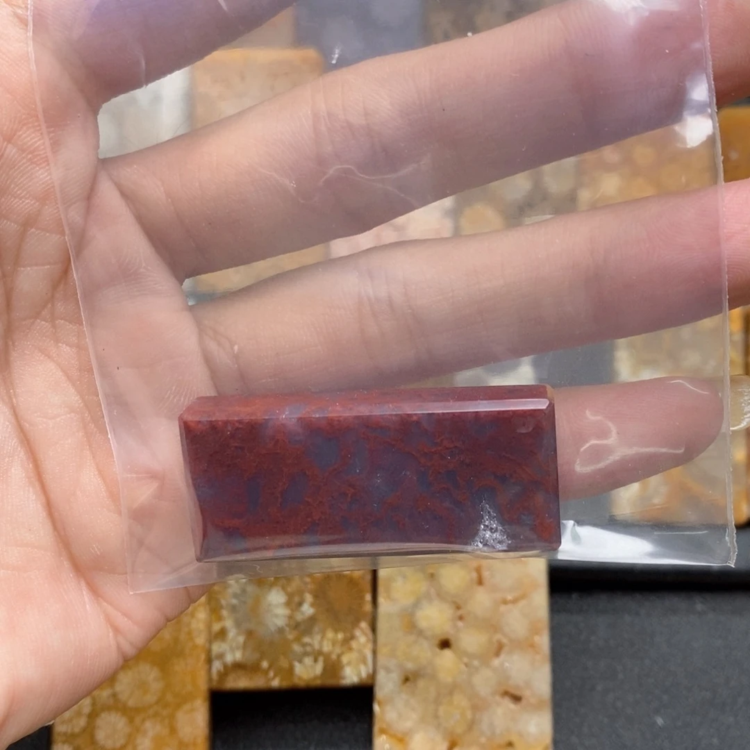 乱***河硅化珊瑚（珊瑚玉）未镶嵌颈饰