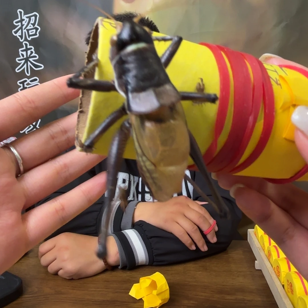 J***f蝈蝈蝈蝈福福价格