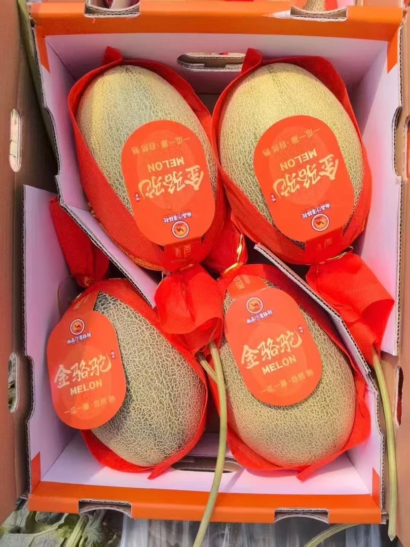 尚品沙漠骆驼晓蜜瓜（一箱4个）脆甜