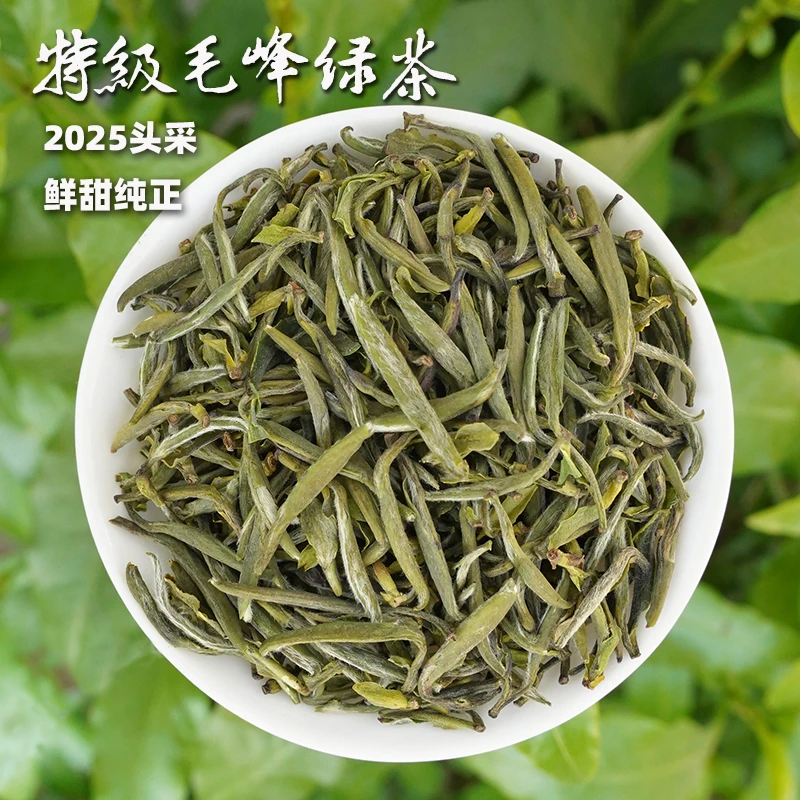 【特级毛峰·明前绿茶】2025新茶头采福建高山茶，醇正甜香125g