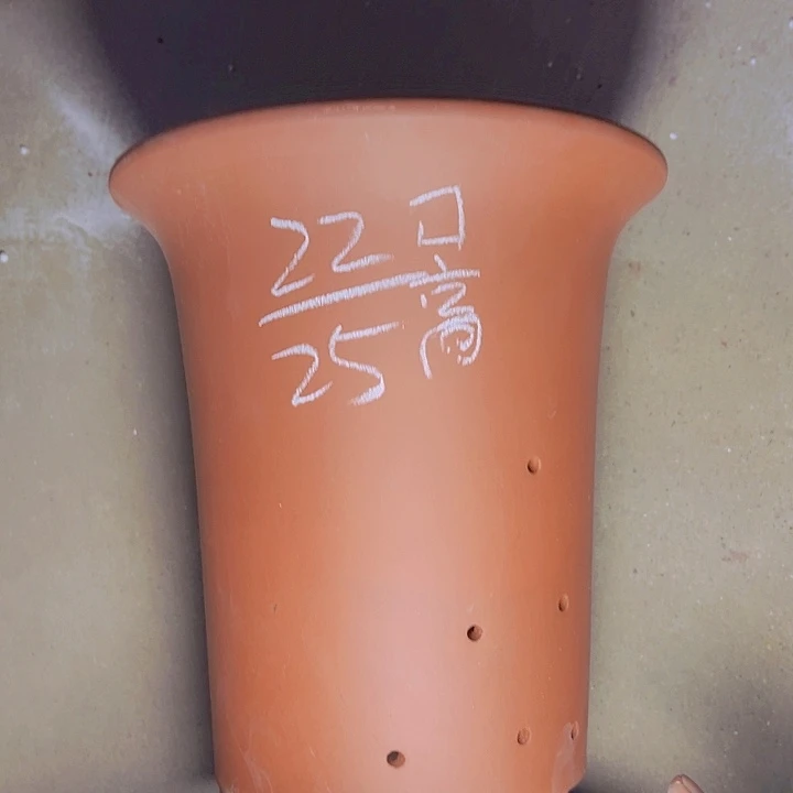 再说再说再说再说再说嘛