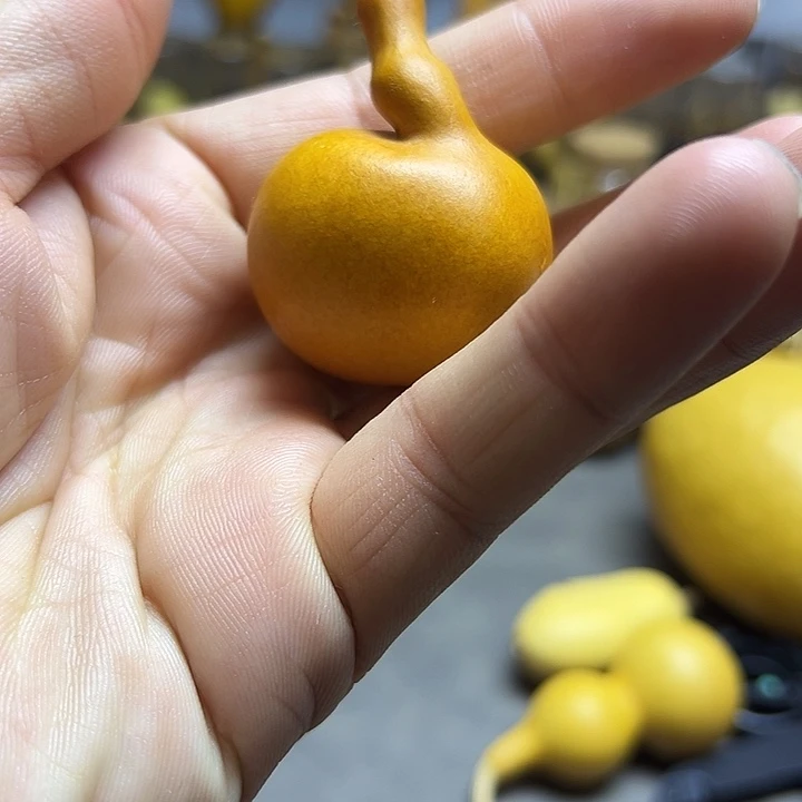 冲***啊小葫芦一物一拍一个