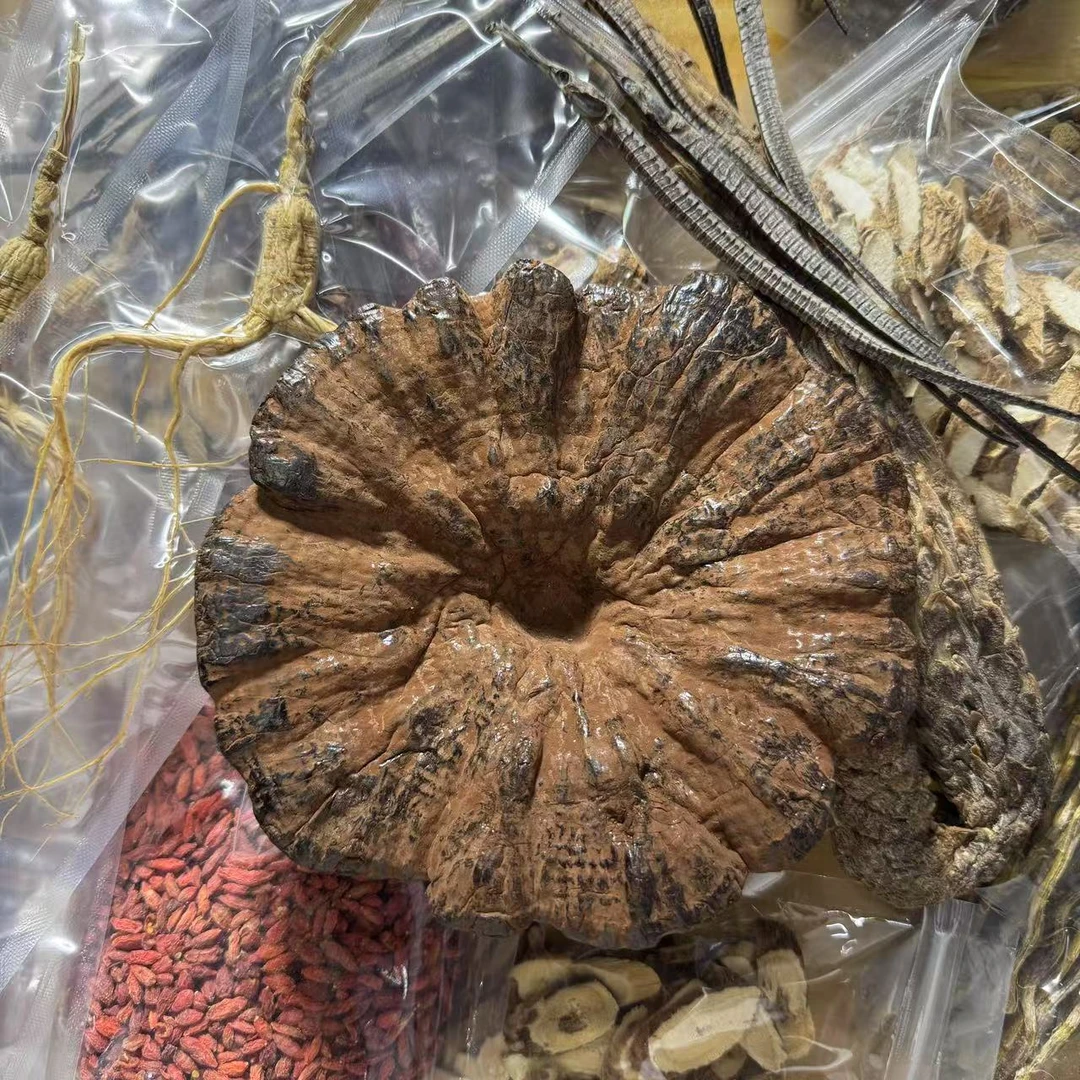 灵芝组合料 （全野）2000克（泡20斤） 真材实料