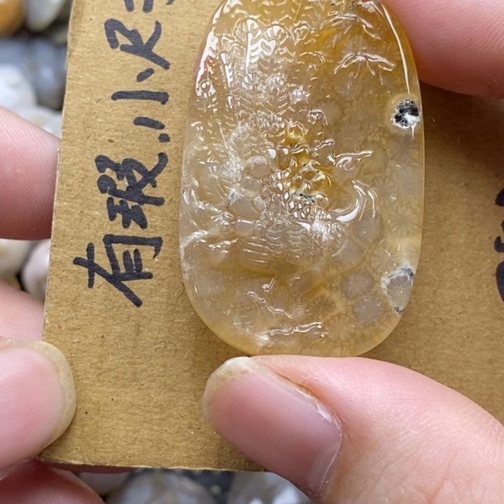 硅化珊瑚（珊瑚玉）未镶嵌颈饰