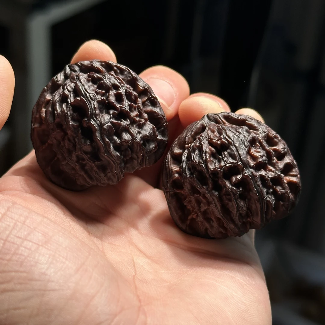 地闷白狮子 尺寸可选