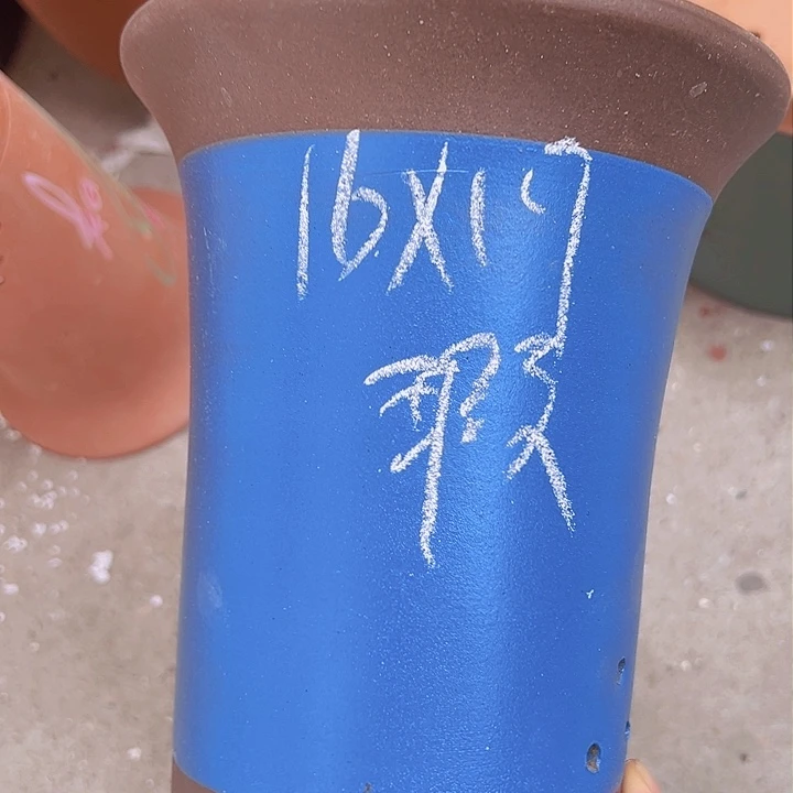 紫砂紫砂紫砂紫砂紫砂紫砂