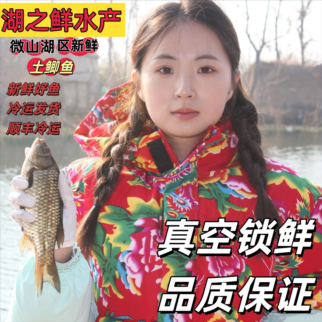 微山湖野鲫鱼 现捕现发 只保鲜不保活 （每斤6-8条）