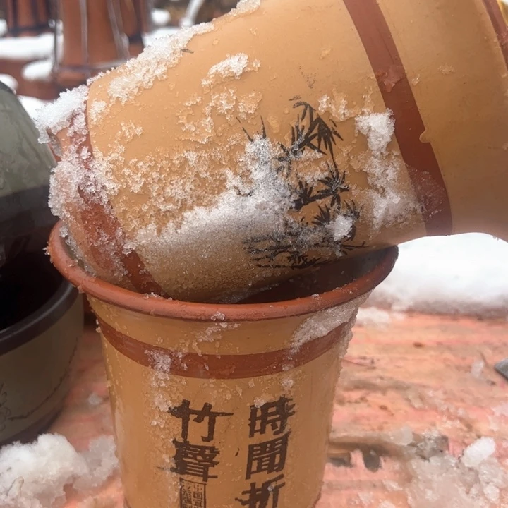 红陶紫砂兰花盆无暇高20