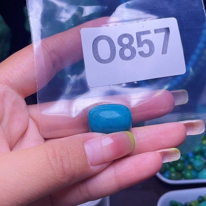 空竹粉丝福利专享