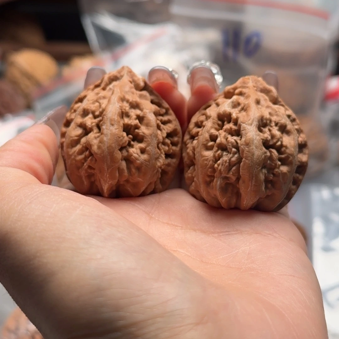 文玩核桃把件龙***布关东木子楸百核116