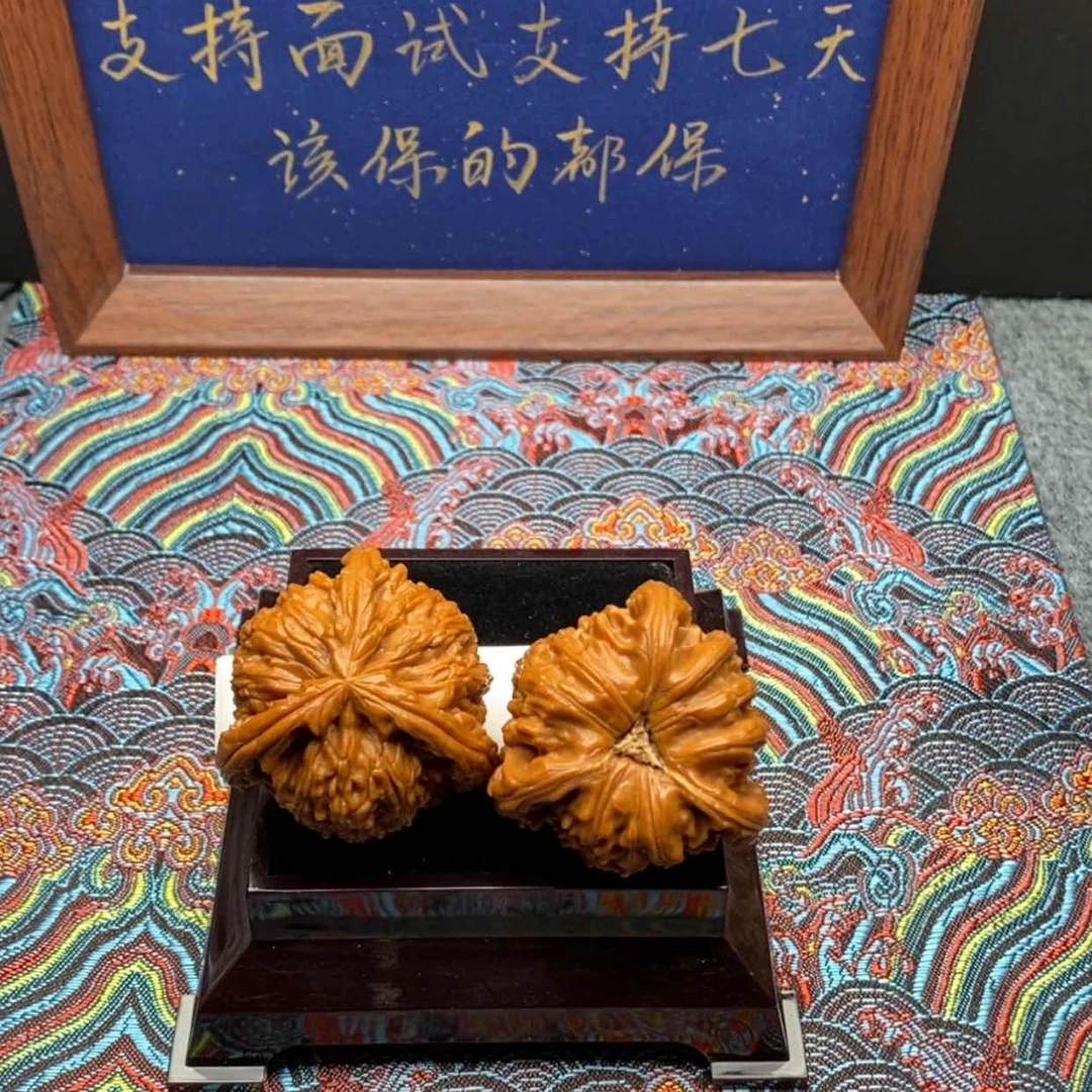 【闪购商品】L****P白狮