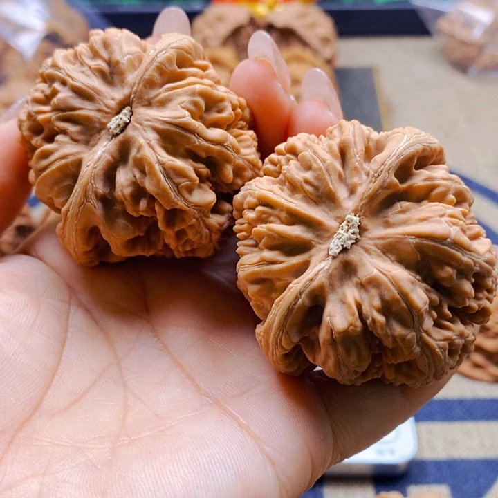 风***景把件文玩核桃粗筋