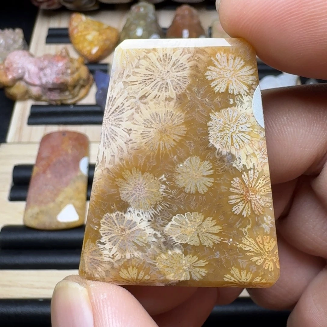 未镶嵌纯天然色有机玉石保真色硅化玉
