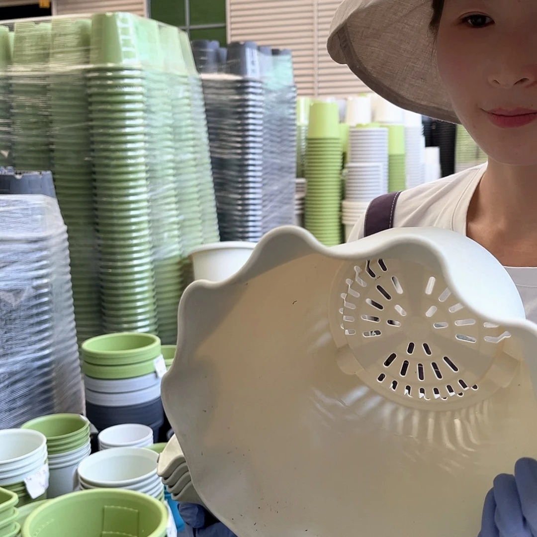 荷叶盆3#米白色5个无托