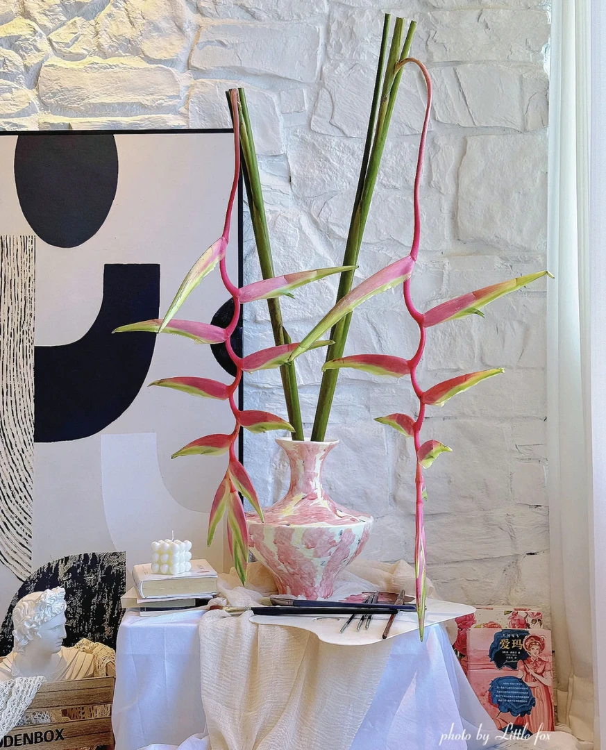 【小阿阮】A级#粉吊鸟#精致吊鸟粉色调家居软装背景墙装饰 顺丰直发