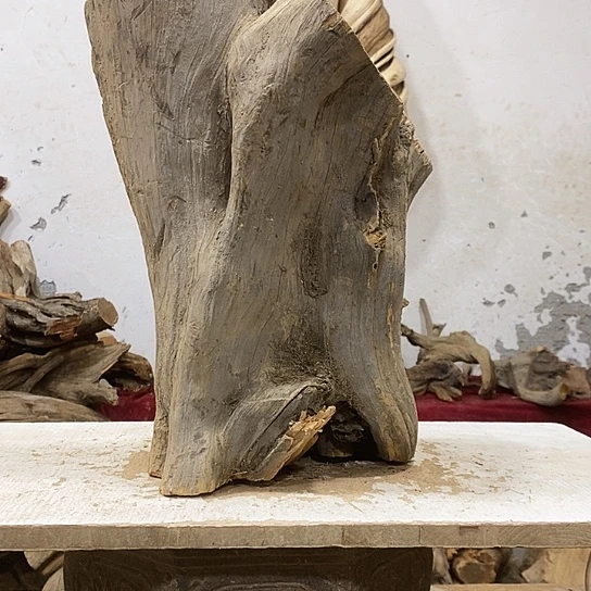 龍***轩柏木我们都是好孩子