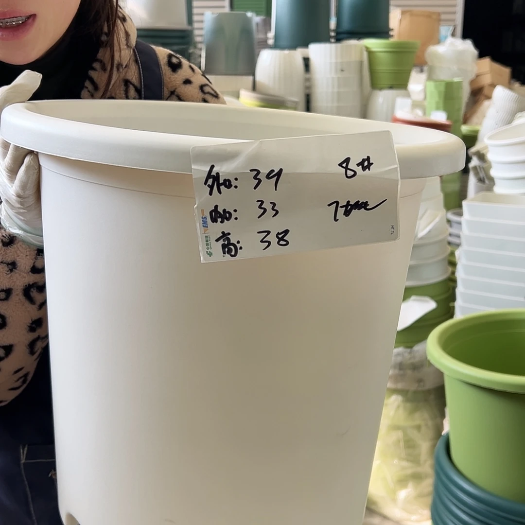 四季盆8#白色5个无托