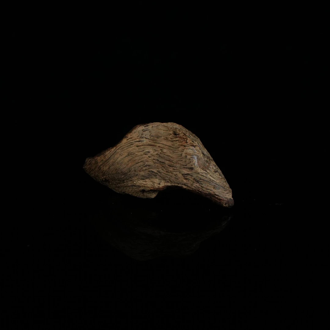 4850 莱特岛红土瘤疤沉水沉香雕刻件 6.29x3.87x2.32cm 18.96g