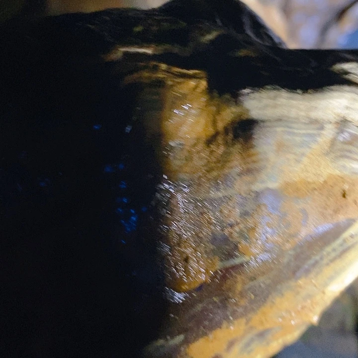 天***缘定制玛瑙定制玛瑙