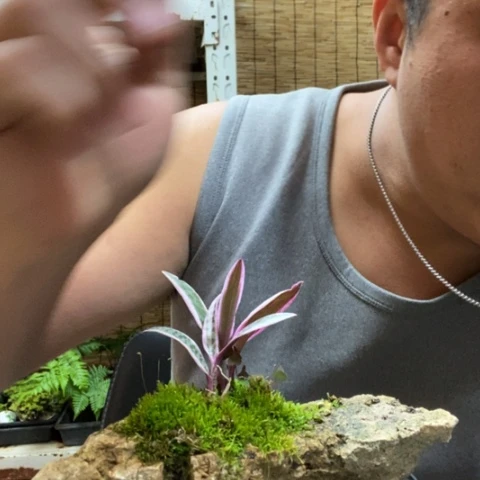 红陶禅**雪一物一拍所见即所得186