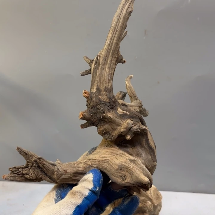 向***生崖柏高油纹理坨坨