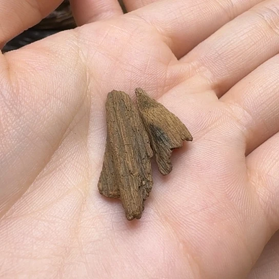 静水明*。富森红土富森红土