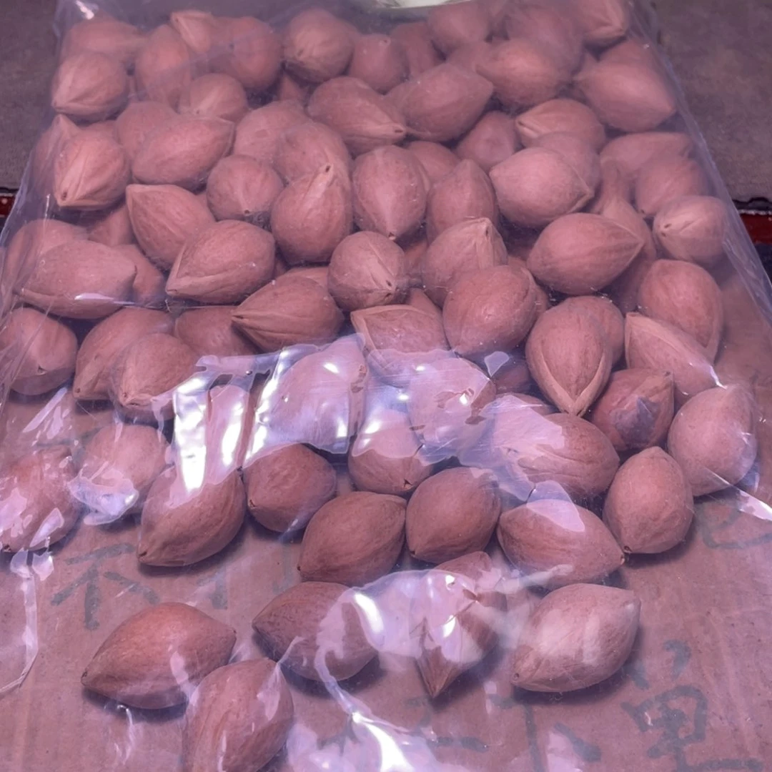 吉***瑞橄榄核手串/手链不退不换qety