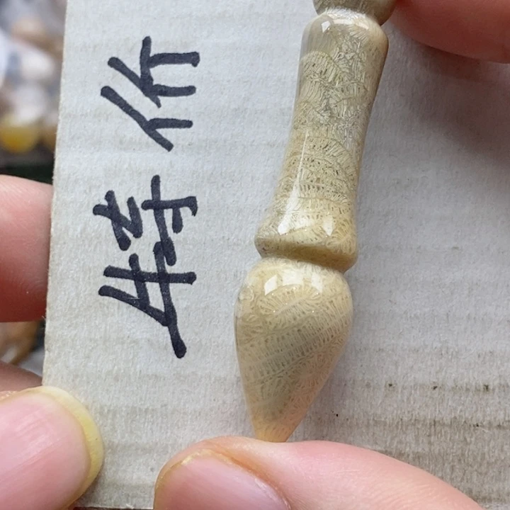 硅化珊瑚（珊瑚玉）颈饰未镶嵌