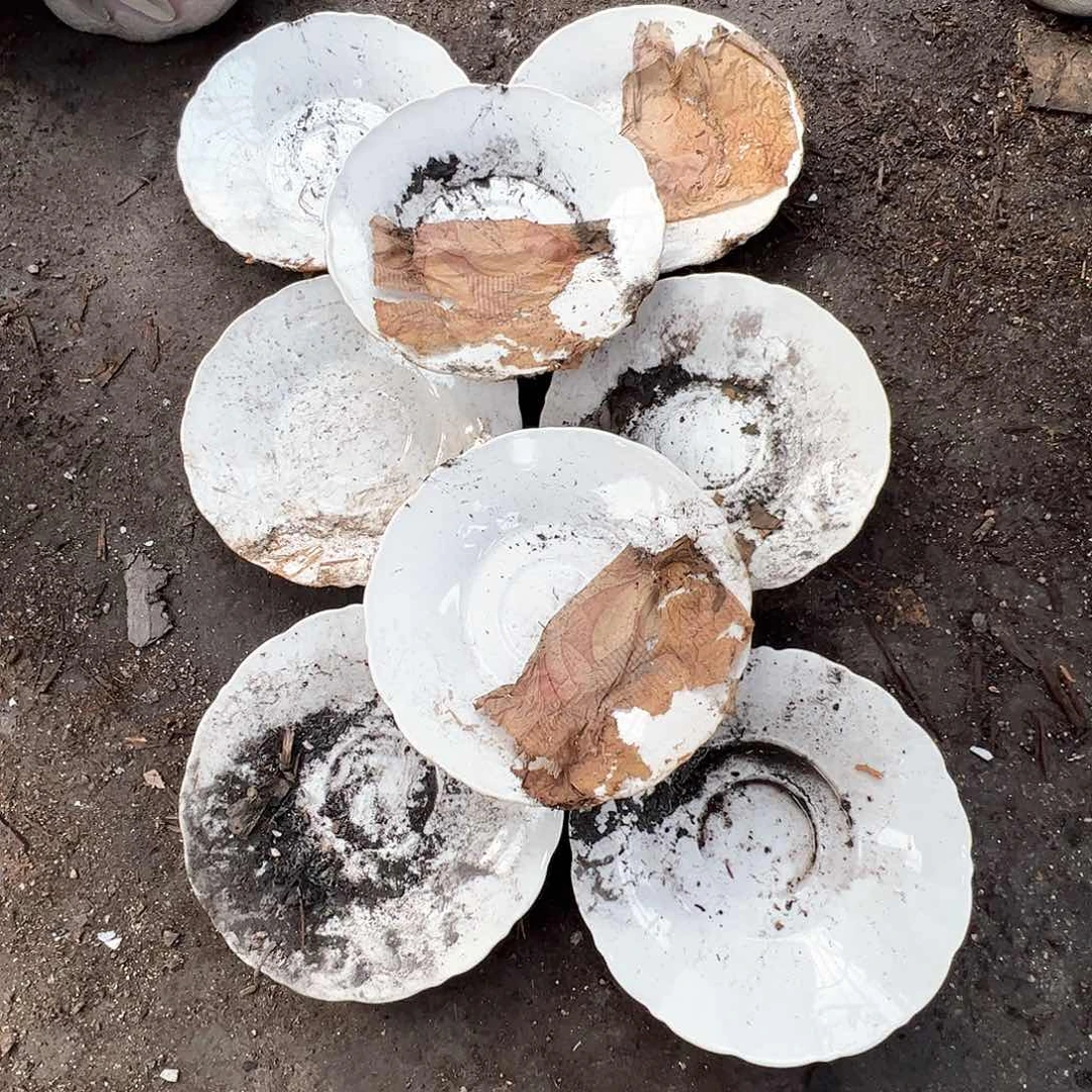 瓷景德镇高温陶瓷老白胎6寸碟8个