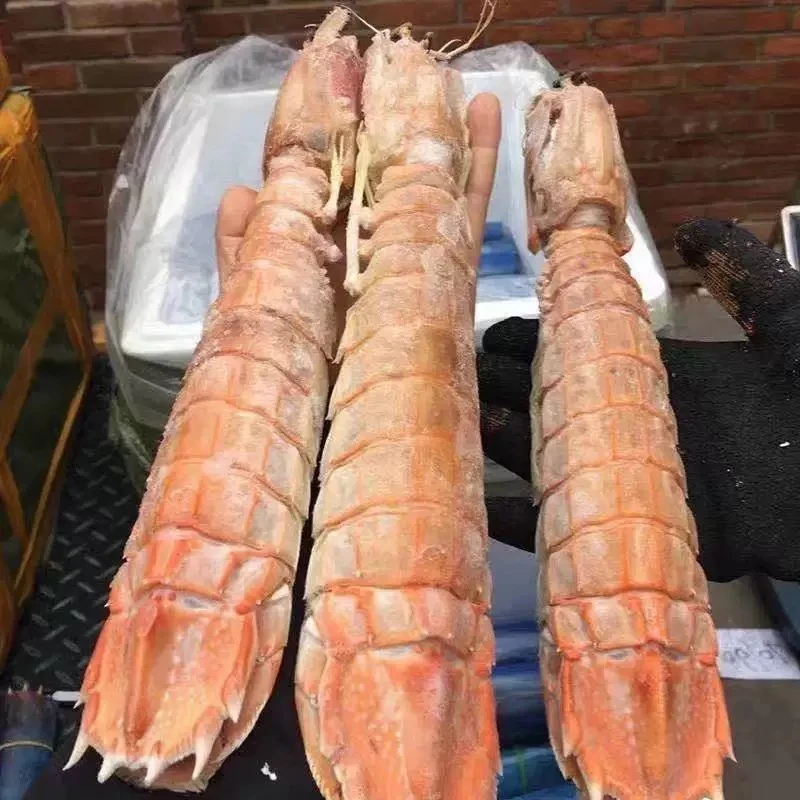 富贵虾超大只熟冻冷冻发货