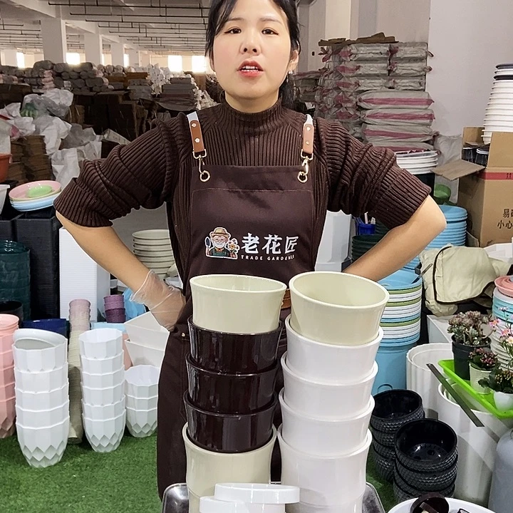 竹节口13高14混色带盘10只包邮