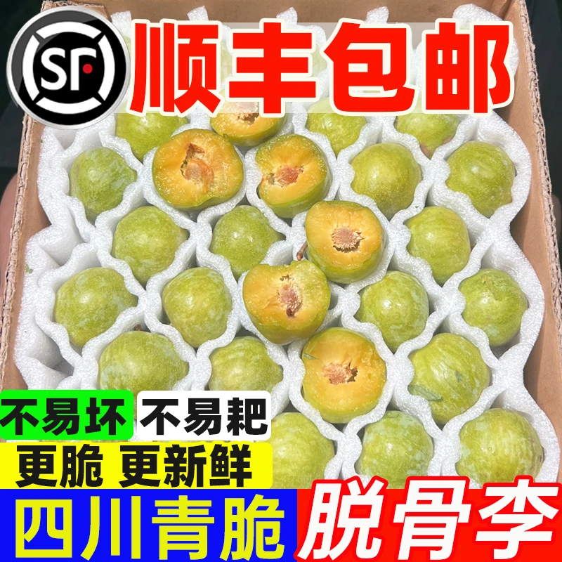 【顺丰冷链+海绵独立包装】正宗四川青脆李脱骨李新鲜应季水果