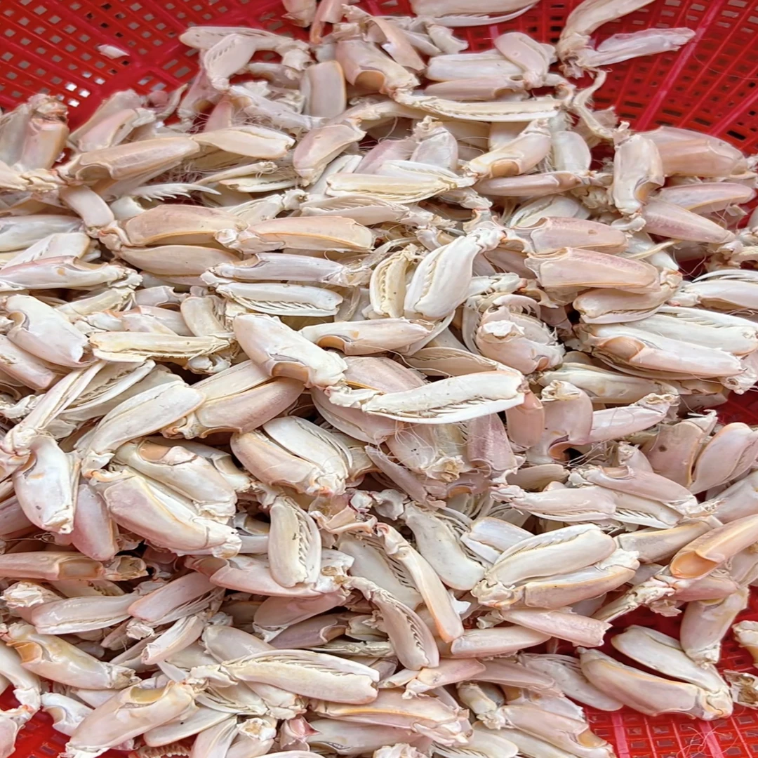 海边小零食虾虎腿带小腿 海瓜子皮皮虾腿 海产品熟干即食