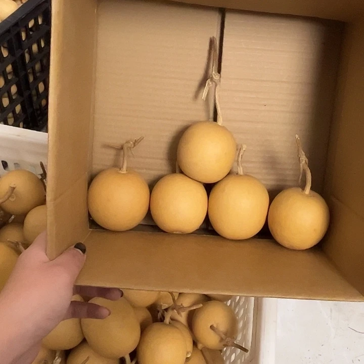 苹果葫芦5个响籽厚皮