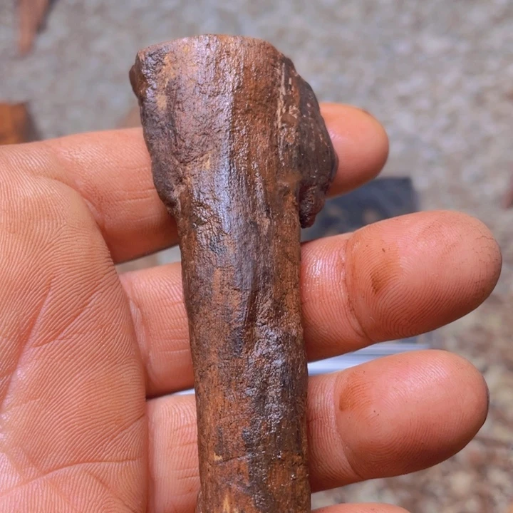 八*越南花梨连连，玲玲玲玲