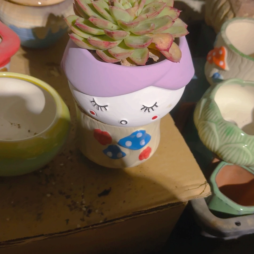 憨****紫色小人盆新疆包邮