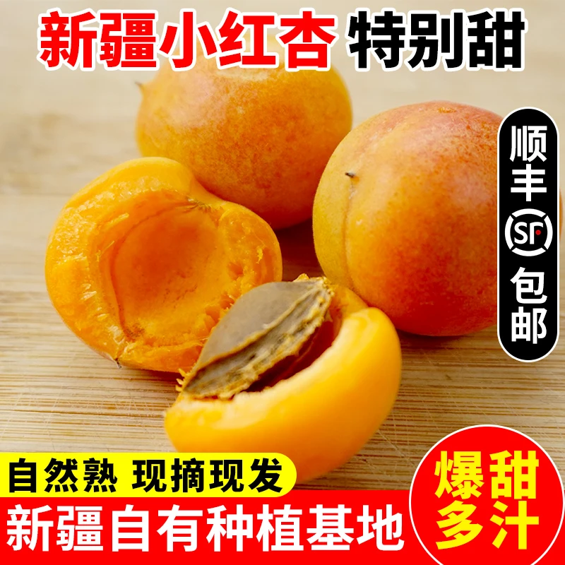 【顺丰包邮】新疆小红杏吊干杏新鲜水果应季水果甜润多汁孕妇水果