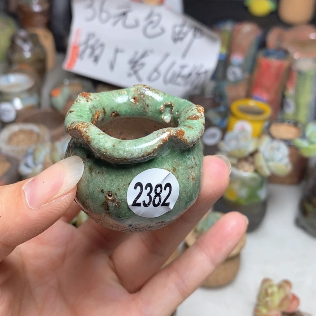 拍5送一个小礼物