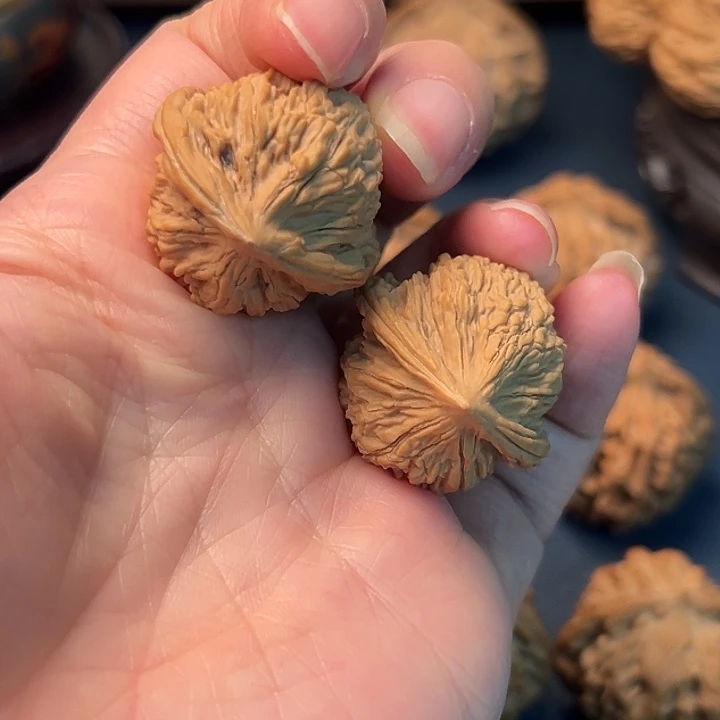 鸡心：木桃树是世界著名