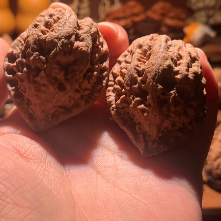 吊坠文玩核桃楸玥核18落地果