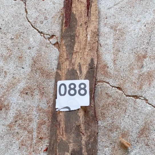 非洲紫檀（红花梨）明**辉