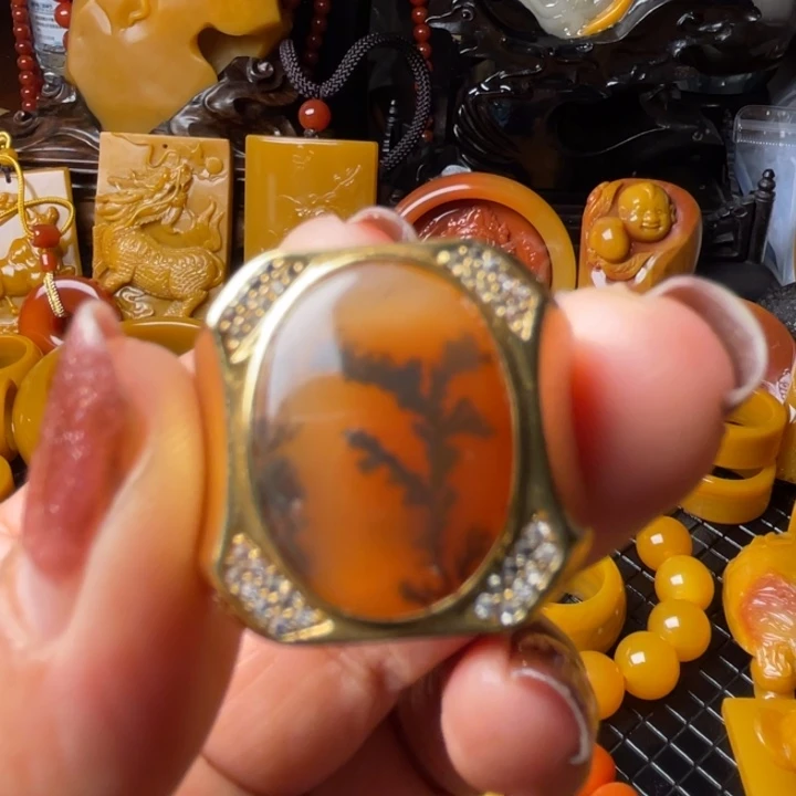 未镶嵌石英质玉（黄龙玉）颈饰